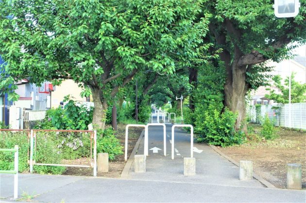 野山北公園自転車道の画像