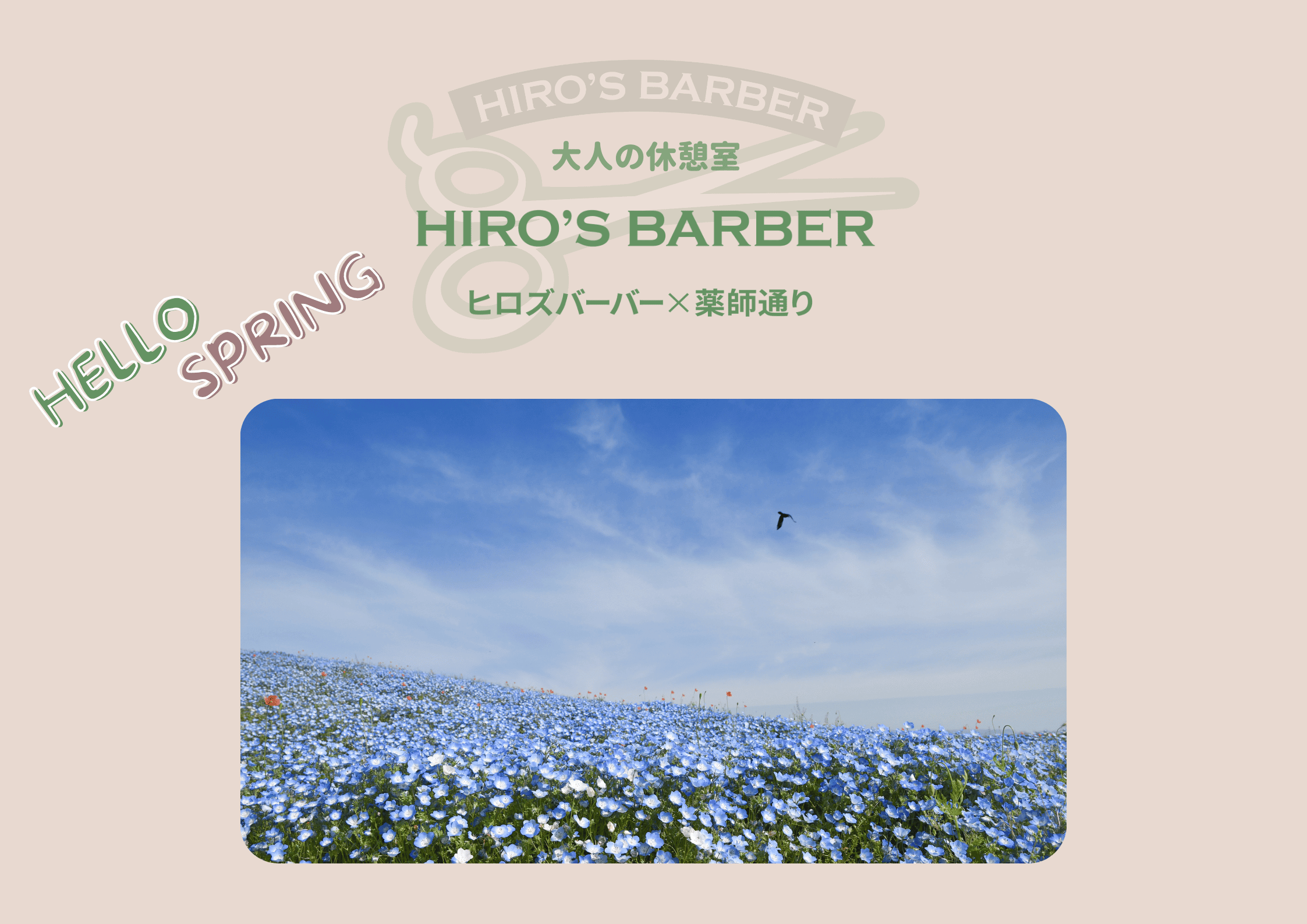 ヒロズバーバー×薬師通り、大人の休憩室のロゴとネモフィラ